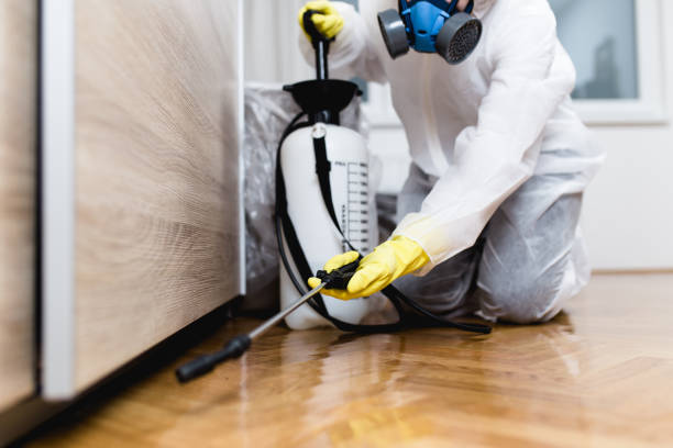 Best Cockroach Control Services  in Dyersburg, TN