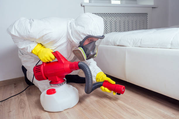 Best Best Pest Control Companies  in Dyersburg, TN
