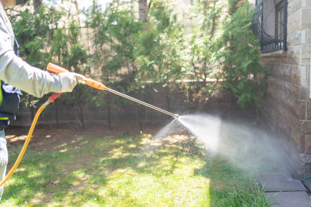 Trusted Dyersburg, TN Pest Control Experts